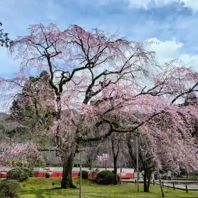 醍醐寺(京都府)