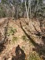 日月神社(栃木県)