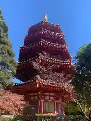 川崎大師（平間寺）(神奈川県)