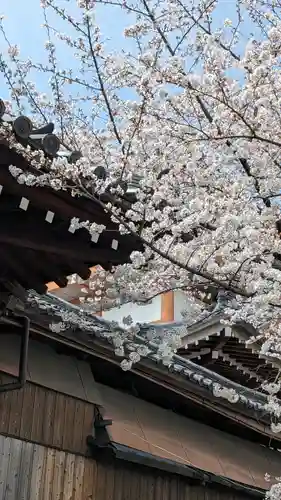 本法寺(京都府)