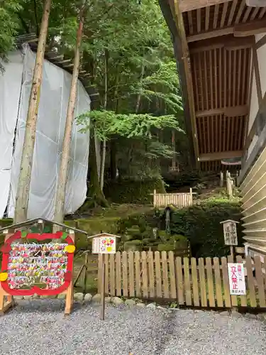 諏訪大社(長野県)