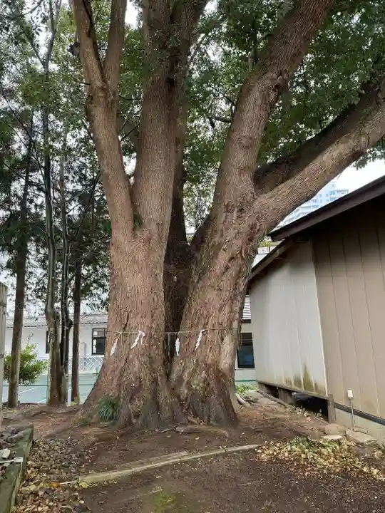 弘道館鹿島神社(茨城県)