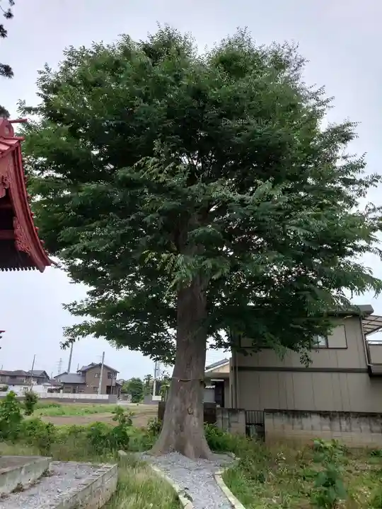 雀宮神社(栃木県)