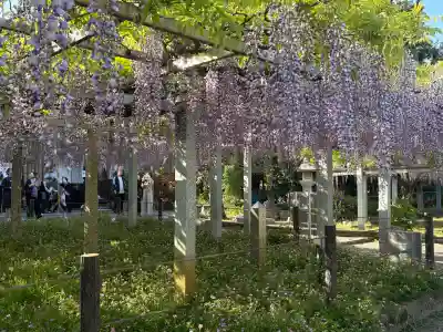 三大神社の{uncategorized: "未分類", other: "その他", undefined: "問題あり", building: "その他建物", grave: "お墓", sacred_gate: "鳥居", guardian: "狛犬", statue: "像", buddha: "仏像", history: "歴史", nature: "自然", garden: "庭園", animal: "動物", pagoda: "塔", temizu: "手水舎", mountain_gate: "山門・神門", sanctuary: "本殿・本堂", subordinate: "末社・摂社", art: "芸術", scenery: "景色", jizo: "地蔵", ema: "絵馬", goshuin: "御朱印", omikuji: "おみくじ", items: "授与品その他", amulet: "お守り", goshuincho: "御朱印帳", eats: "食事", festival: "お祭り", votive_dance: "神楽", shichigosan: "七五三参", wedding: "結婚式", experience: "体験その他", initially: "初詣", around: "周辺", anti_infection: "感染症対策"}