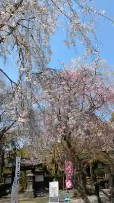 松ヶ崎大黒天 妙圓寺（妙円寺）(京都府)