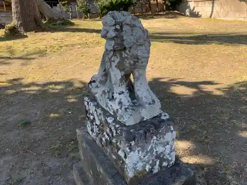 青根原神社の狛犬