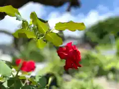 菱野健功神社の自然