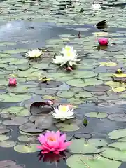 仁科神社(長野県)