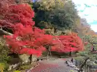 石道寺の{uncategorized: "未分類", other: "その他", undefined: "問題あり", building: "その他建物", grave: "お墓", sacred_gate: "鳥居", guardian: "狛犬", statue: "像", buddha: "仏像", history: "歴史", nature: "自然", garden: "庭園", animal: "動物", pagoda: "塔", temizu: "手水舎", mountain_gate: "山門・神門", sanctuary: "本殿・本堂", subordinate: "末社・摂社", art: "芸術", scenery: "景色", jizo: "地蔵", ema: "絵馬", goshuin: "御朱印", omikuji: "おみくじ", items: "授与品その他", amulet: "お守り", goshuincho: "御朱印帳", eats: "食事", festival: "お祭り", votive_dance: "神楽", shichigosan: "七五三参", wedding: "結婚式", experience: "体験その他", initially: "初詣", around: "周辺", anti_infection: "感染症対策"}