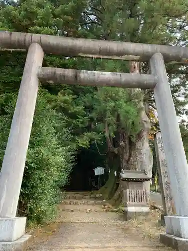 萩日吉神社の鳥居