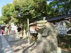 菊田神社の狛犬