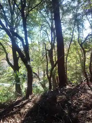 石楯尾神社(神奈川県)