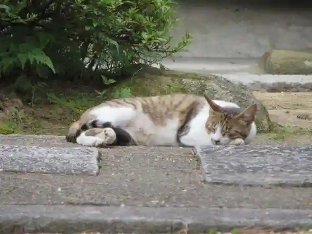 智恩寺(京都府)