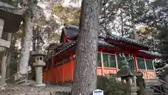 棚倉孫神社(京都府)