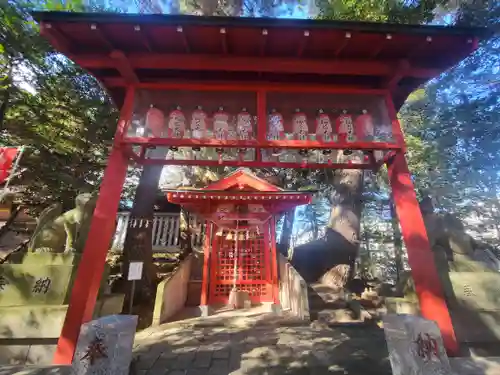 開運招福 飯玉神社(群馬県)