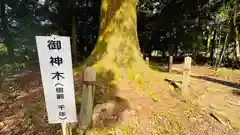 川俣神社(三重県)