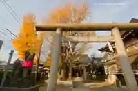 飛木稲荷神社(東京都)