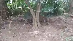 鹿島神社の建物その他