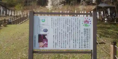 淡墨観音(岐阜県)