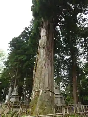 戸隠神社中社(長野県)