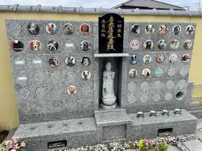 妙典寺の{uncategorized: "未分類", other: "その他", undefined: "問題あり", building: "その他建物", grave: "お墓", sacred_gate: "鳥居", guardian: "狛犬", statue: "像", buddha: "仏像", history: "歴史", nature: "自然", garden: "庭園", animal: "動物", pagoda: "塔", temizu: "手水舎", mountain_gate: "山門・神門", sanctuary: "本殿・本堂", subordinate: "末社・摂社", art: "芸術", scenery: "景色", jizo: "地蔵", ema: "絵馬", goshuin: "御朱印", omikuji: "おみくじ", items: "授与品その他", amulet: "お守り", goshuincho: "御朱印帳", eats: "食事", festival: "お祭り", votive_dance: "神楽", shichigosan: "七五三参", wedding: "結婚式", experience: "体験その他", initially: "初詣", around: "周辺", anti_infection: "感染症対策"}