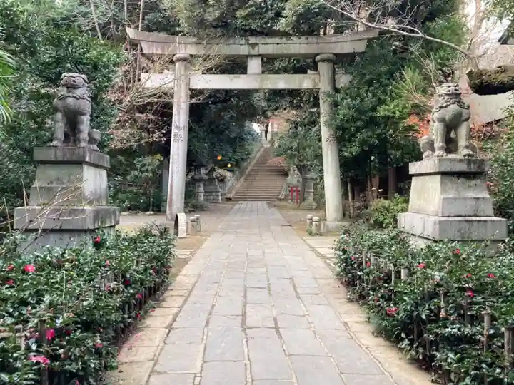 赤坂氷川神社の鳥居