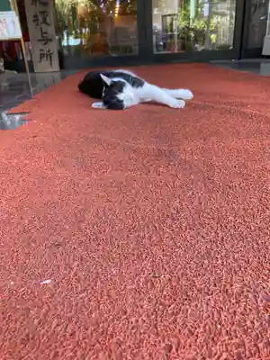 榛名神社(群馬県)