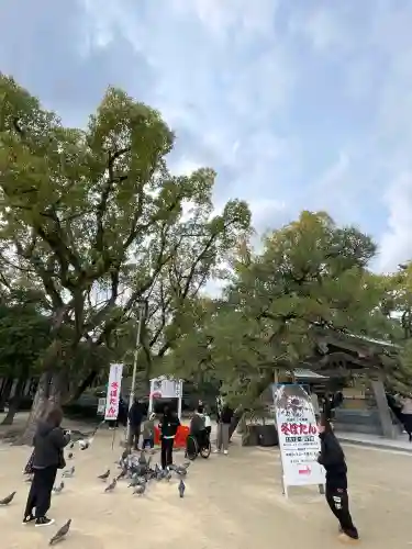 筥崎宮の{uncategorized: "未分類", other: "その他", undefined: "問題あり", building: "その他建物", grave: "お墓", sacred_gate: "鳥居", guardian: "狛犬", statue: "像", buddha: "仏像", history: "歴史", nature: "自然", garden: "庭園", animal: "動物", pagoda: "塔", temizu: "手水舎", mountain_gate: "山門・神門", sanctuary: "本殿・本堂", subordinate: "末社・摂社", art: "芸術", scenery: "景色", jizo: "地蔵", ema: "絵馬", goshuin: "御朱印", omikuji: "おみくじ", items: "授与品その他", amulet: "お守り", goshuincho: "御朱印帳", eats: "食事", festival: "お祭り", votive_dance: "神楽", shichigosan: "七五三参", wedding: "結婚式", experience: "体験その他", initially: "初詣", around: "周辺", anti_infection: "感染症対策"}