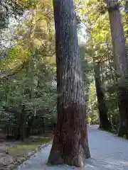 瀧原宮(皇大神宮別宮)の自然