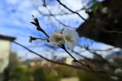 元興寺(奈良県)