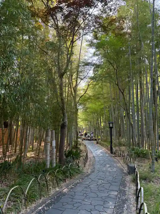 修禅寺の{uncategorized: "未分類", other: "その他", undefined: "問題あり", building: "その他建物", grave: "お墓", sacred_gate: "鳥居", guardian: "狛犬", statue: "像", buddha: "仏像", history: "歴史", nature: "自然", garden: "庭園", animal: "動物", pagoda: "塔", temizu: "手水舎", mountain_gate: "山門・神門", sanctuary: "本殿・本堂", subordinate: "末社・摂社", art: "芸術", scenery: "景色", jizo: "地蔵", ema: "絵馬", goshuin: "御朱印", omikuji: "おみくじ", items: "授与品その他", amulet: "お守り", goshuincho: "御朱印帳", eats: "食事", festival: "お祭り", votive_dance: "神楽", shichigosan: "七五三参", wedding: "結婚式", experience: "体験その他", initially: "初詣", around: "周辺", anti_infection: "感染症対策"}