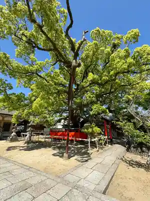 龍田神社(奈良県)