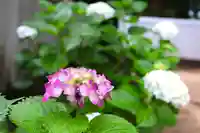 三津厳島神社(愛媛県)