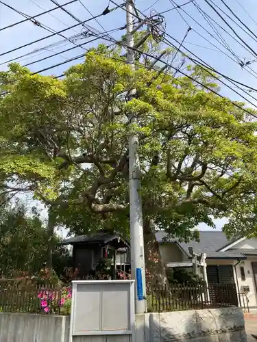 日枝神社(神奈川県)