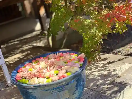 行田八幡神社の手水