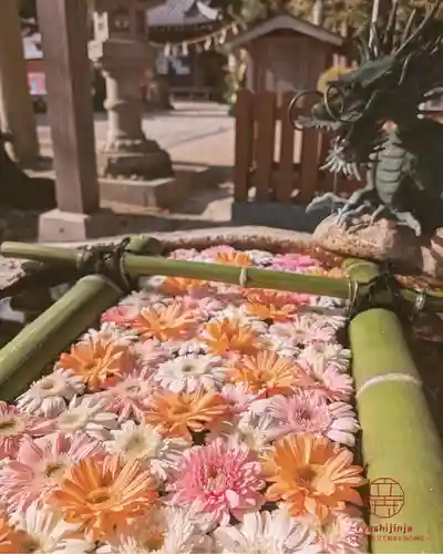 立志神社(滋賀県)