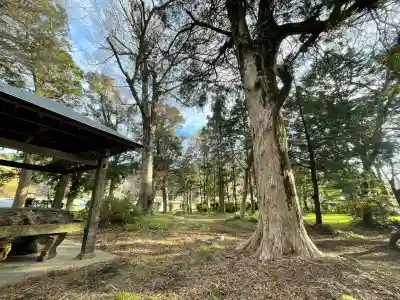 伊那上神社(静岡県)