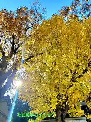 阿邪訶根神社(福島県)