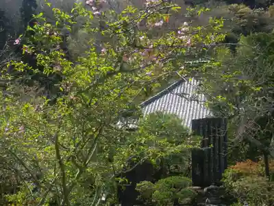 光則寺のその他建物