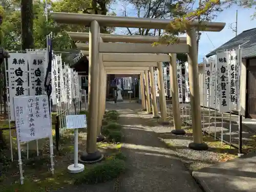白金龍王社の{uncategorized: "未分類", other: "その他", undefined: "問題あり", building: "その他建物", grave: "お墓", sacred_gate: "鳥居", guardian: "狛犬", statue: "像", buddha: "仏像", history: "歴史", nature: "自然", garden: "庭園", animal: "動物", pagoda: "塔", temizu: "手水舎", mountain_gate: "山門・神門", sanctuary: "本殿・本堂", subordinate: "末社・摂社", art: "芸術", scenery: "景色", jizo: "地蔵", ema: "絵馬", goshuin: "御朱印", omikuji: "おみくじ", items: "授与品その他", amulet: "お守り", goshuincho: "御朱印帳", eats: "食事", festival: "お祭り", votive_dance: "神楽", shichigosan: "七五三参", wedding: "結婚式", experience: "体験その他", initially: "初詣", around: "周辺", anti_infection: "感染症対策"}