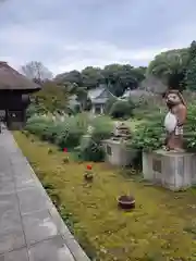 茂林寺の狛犬