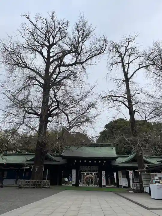 大宮八幡宮の自然