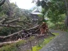 日本寺の建物その他