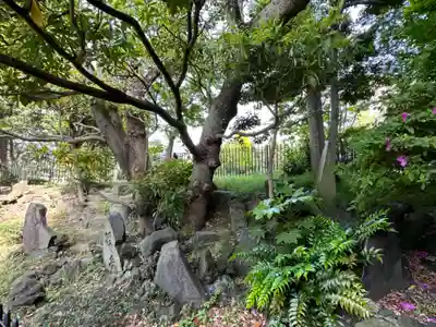 亀戸浅間神社(東京都)