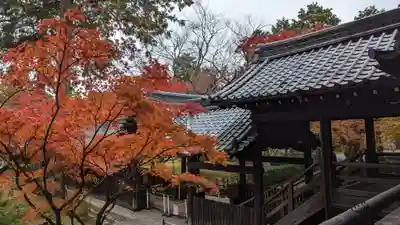 真正極楽寺(真如堂)(京都府)