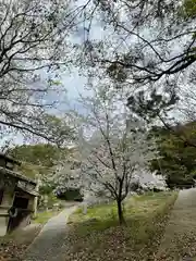 厳島神社(広島県)