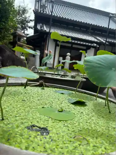総持寺(大阪府)