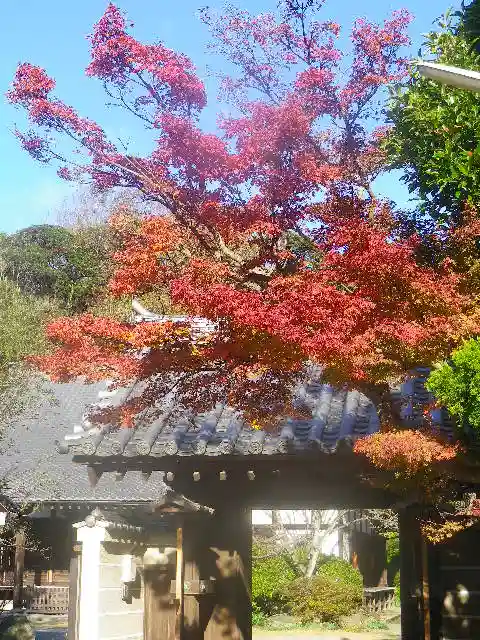 浄光明寺の自然