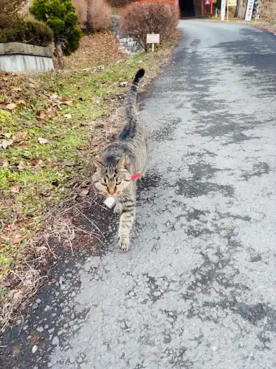 正一位 若草稲荷神社の{uncategorized: "未分類", other: "その他", undefined: "問題あり", building: "その他建物", grave: "お墓", sacred_gate: "鳥居", guardian: "狛犬", statue: "像", buddha: "仏像", history: "歴史", nature: "自然", garden: "庭園", animal: "動物", pagoda: "塔", temizu: "手水舎", mountain_gate: "山門・神門", sanctuary: "本殿・本堂", subordinate: "末社・摂社", art: "芸術", scenery: "景色", jizo: "地蔵", ema: "絵馬", goshuin: "御朱印", omikuji: "おみくじ", items: "授与品その他", amulet: "お守り", goshuincho: "御朱印帳", eats: "食事", festival: "お祭り", votive_dance: "神楽", shichigosan: "七五三参", wedding: "結婚式", experience: "体験その他", initially: "初詣", around: "周辺", anti_infection: "感染症対策"}