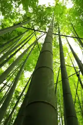 報国寺(神奈川県)